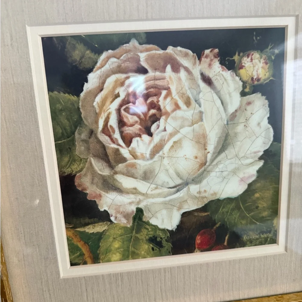 Kathryn White Framed Print “Rose Blanche Detail” 14x14